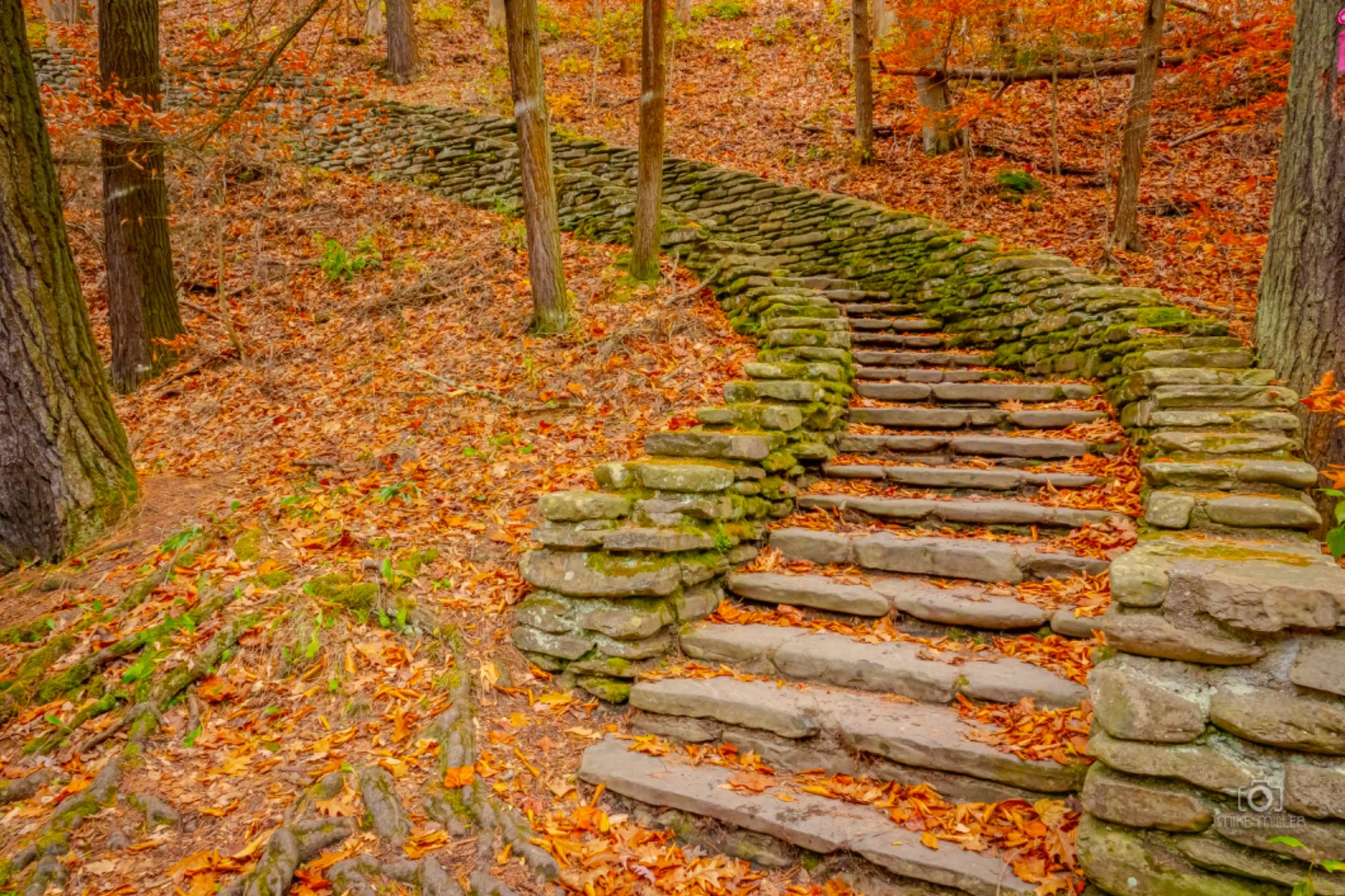 Letchworth